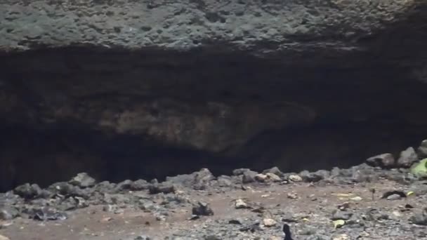 Beauty Terawang Cave Sunlight Entering Blora Central Java — стоковое видео