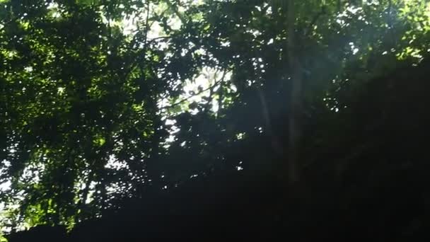 Krása Jeskyně Terawang Slunečním Svitem Blora Střední Jáva — Stock video
