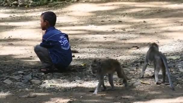 Child Gives Food Number Monkeys Any Fear Front Terawang Cave — Stockvideo