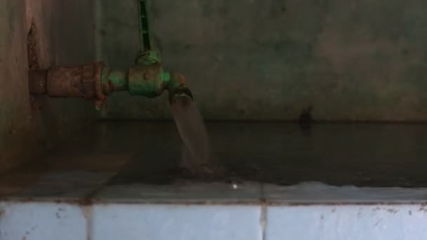 Siyah Kova Videosundan Döküldü Dopdolu Artık Olmuyor Aşırı Yükleme — Stok video