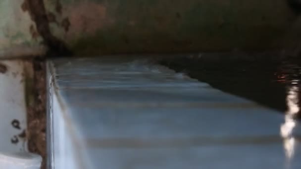 Voda Teče Černého Kbelíku Videa Plná Nevejde Přetížení — Stock video