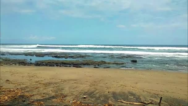 Tramo Paisaje Playa Como Fondo Contenido Vídeo Hermosas Imágenes Playa — Vídeos de Stock
