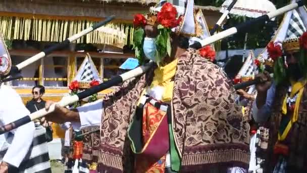 Balinese Hindu Cremation Ceremony Ngaben Member Royal Family Ida Pedanda — Stockvideo