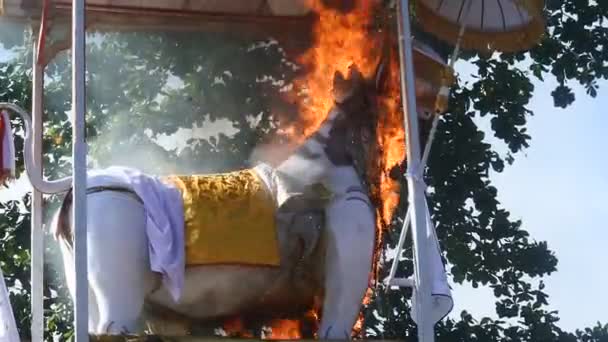 Una Estatua Una Cabeza Búfalo Que Quema Fuma Durante Evento — Vídeo de stock