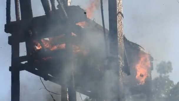 Statue Buffalo Head Burns Smokes Ngaben Palebon Event Sanur Bali — Stock video