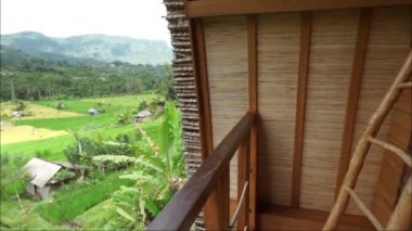 Villa HD 'den pirinç tarlalarının ve tepelerin görüntüsü.