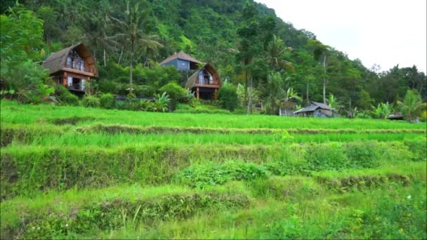 Sidemen Karangasem Bali Endonezya Daki Lüks Villa Eylül 2021 Videolar — Stok video