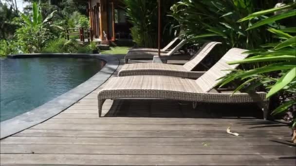 Beautiful Garden Villa Full Plants Flowers Tropical Pool Videos — Stockvideo