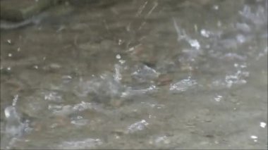 Yavaş çekim yağmur damlaları yere düşüyor. yağmur sezonu