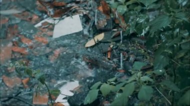 Yavaş çekim yağmur damlaları yere düşüyor. yağmur sezonu