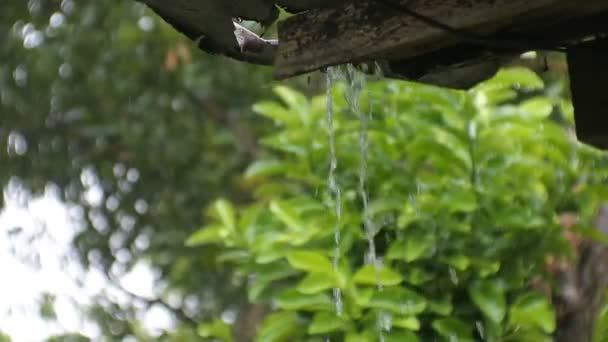 Βρόχινο Νερό Ξεχύνεται Από Τις Υδρορροές — Αρχείο Βίντεο