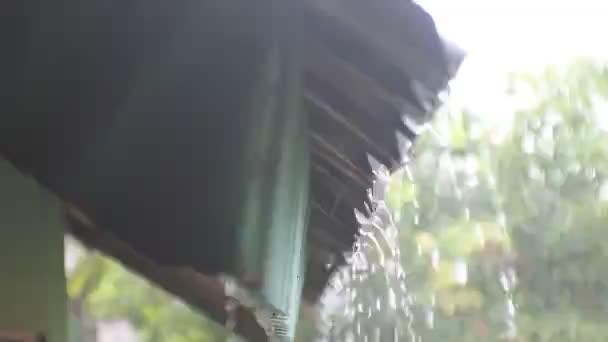 Woda Deszczowa Kapiąca Dachu — Wideo stockowe