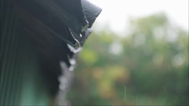 雨水从屋顶滴下 下着雨在农村 潮湿的气候 雨滴从木制屋顶天篷Hd视频上掉下来 慢动作 — 图库视频影像