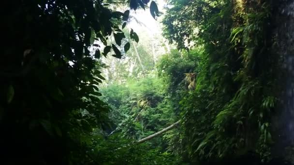 Tukad Cepung Wasserfall Klungkung Bali — Stockvideo