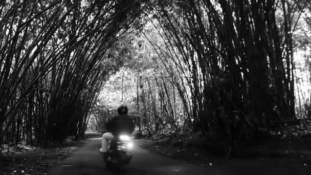 Motorväg Och Gångväg Mellan Lummig Bambuskog Bangli Bali — Stockvideo
