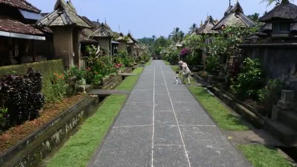 Penglipuran Traditional Village Architecture Bangli Bali Indonesia — Stock Video