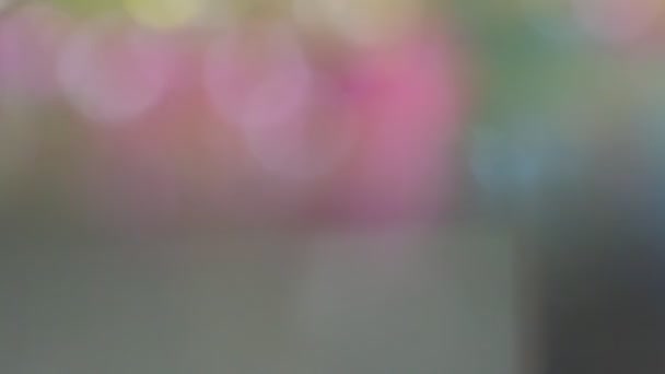 轻柔的背景图片 抽象防波灯 具有显性粉红和浅蓝色的Bokeh — 图库视频影像