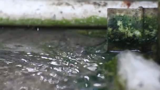 从洗衣机排水管里流出的水 — 图库视频影像