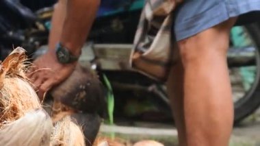 Hindistan cevizi meyvesi soyan bir işçinin elini kapatın, hindistan cevizi soyan bir çiftçi, demir bir çubukla hindistan cevizi yağı üretme süreci,