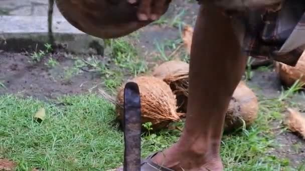 Închiderea Mâinii Unui Muncitor Decojind Fruct Nucă Cocos Uscat Fermier — Videoclip de stoc