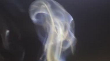 Sivrisinek bobinlerinden çıkan duman, beyaz duman yavaşça uzayda süzülüyor, karanlığa, atmosferik dumana, sise karşı. VFX Elementi