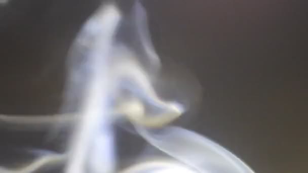 Smoke Mosquito Coils Slow Motion White Smoke Slowly Floating Space — Stock Video