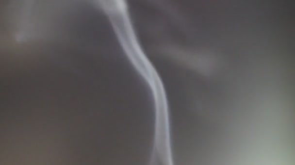 Fumul Bobinele Țânțari Mișcare Lentă Fumul Alb Plutește Încet Prin — Videoclip de stoc