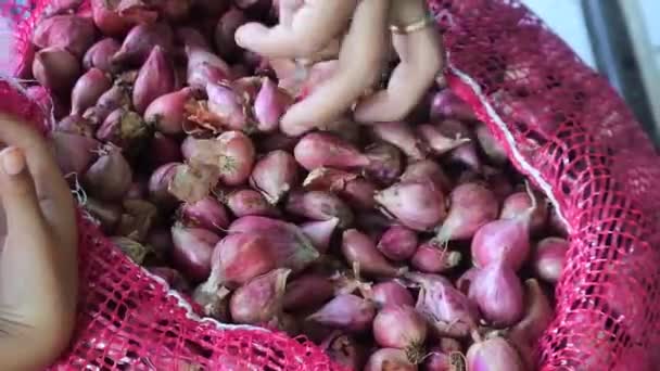 Zakupy Rynkach Lokalnych Proces Ważenia Czosnku Blora Central Java Indonesia — Wideo stockowe