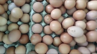 Hayvan ürünleri. Günlük ihtiyaçlar. Taze çiftlik tavuğu yumurtası. Çok sayıda yumurta. Çiğ tavuk yumurtası. Pazarda satılık taze yumurtalar. Kahvaltı için sağlıklı taze malzemeler. hd videoları