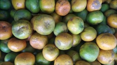 Turunçgiller yüksek çözünürlüklü videoyu kapatır. Portakallar, Rutaceae kabilesinin (portakal-portakal kabilesi) Citrus klanına ait çiçekli bitkilerdir. Portakallar C vitamini kaynağıdır.