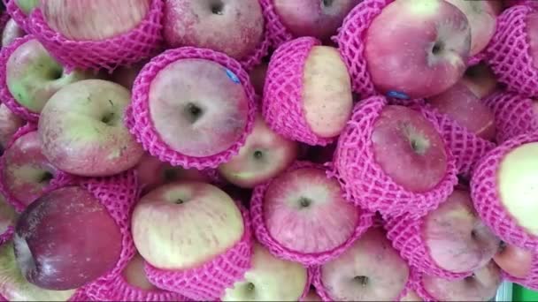 Nahaufnahme Roter Grüner Apfel Video Gedreht Schießen Malus Dosmetica Und — Stockvideo