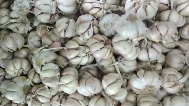 Górny Widok Zbiorów Czosnku Allium Sativum Footage Surowa Żywność — Wideo stockowe