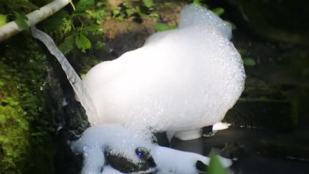 Schaumabfluss Badezimmerabwasser Mit Reichlich Phosphor Organische Materie Und Natriumtripolyphosphat Fließen — Stockvideo