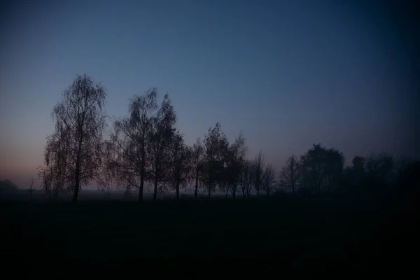 Alba Una Campagna Tranquilla Nebbioso Autunno Mattina — Foto Stock