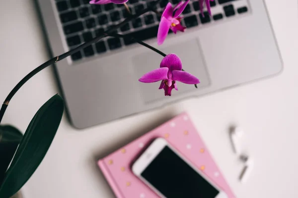 Fleur d'orchidée, bloc-notes et ordinateur portable. endroit confortable pour travailler et se détendre — Photo