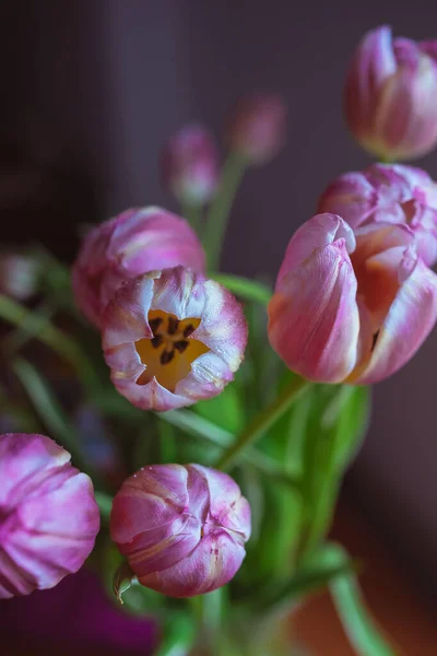 Mooie Roze Tulpen Waterdruppels Wallpapers Voor Telefoon Hoge Kwaliteit Foto — Stockfoto