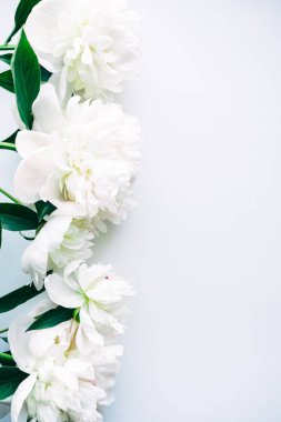 Pastel masanın üstünde güzel beyaz şakayık çiçekleri. Düz yatış stili. - Evet. Yüksek kalite fotoğraf