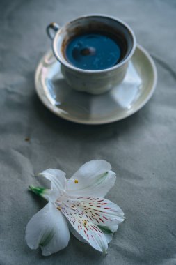cup of coffee and white flower on gray background. top view . High quality photo