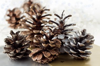 Yılbaşı çam koni dekorasyon