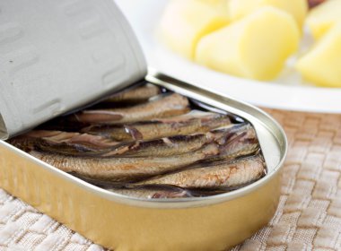 sprats