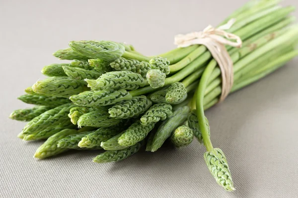 Wild asparagus