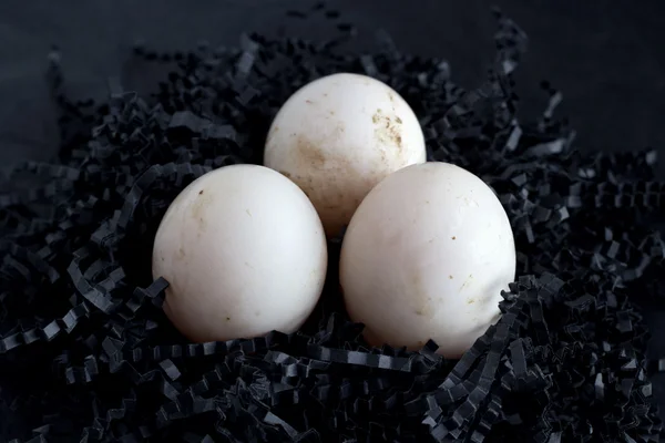 Duck ouă — Fotografie, imagine de stoc