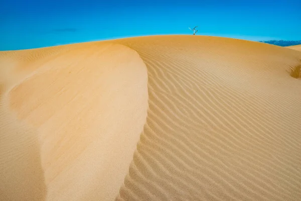 Vítr Žene Jemný Písek Pláží Vytváří Vysoké Duny — Stock fotografie