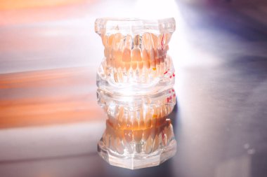 Bir dişçinin paslanmaz masasında dişli bir çenenin plastik kalıbı.