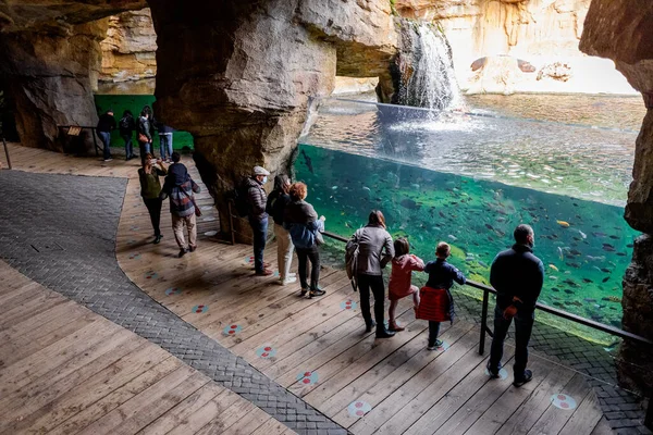 Valencia Spain December 2021 Tourists Visit Natural Aquarium Zoo Christmas — стоковое фото
