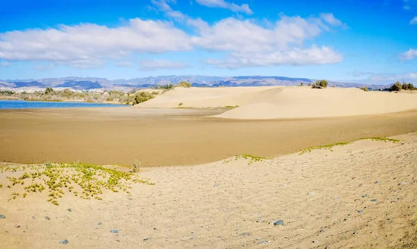 Sanddyner Den Kanariska Stranden Maspalomas — Stockfoto