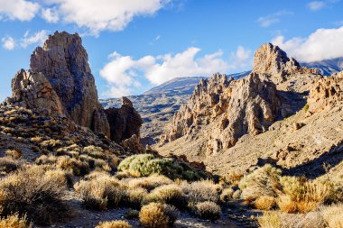 Los Roques, Tenerife 'deki volkanik kaya oluşumlarıdır..