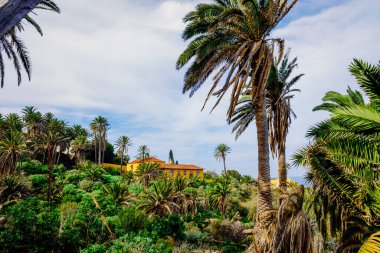 Atlantik adasındaki tropikal muz çiftliğindeki eski sömürge konağı.