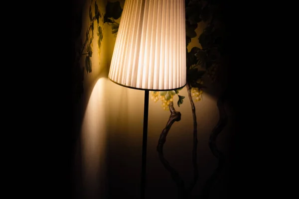 Elegant Low Wattage Lamp Creates Atmosphere Seclusion Nostalgia Darkened Room — Stock Photo, Image