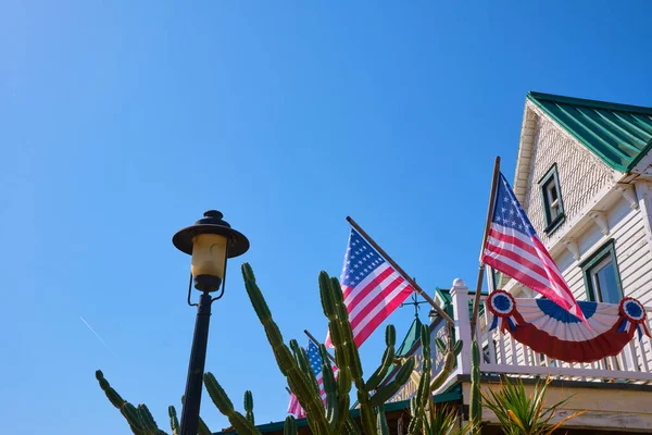 Obchody Lipca Ważne Święto Patriotyczne Pełne Amerykańskich Flag Stanach Zjednoczonych — Zdjęcie stockowe